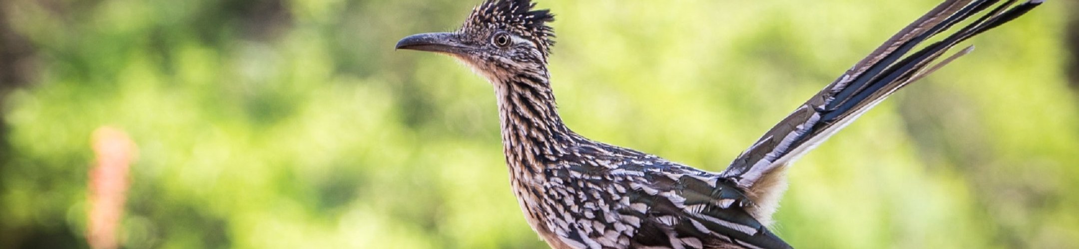 When do the rules apply?